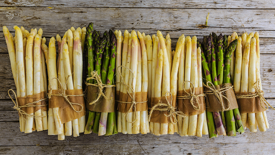asparagus-101-white-green