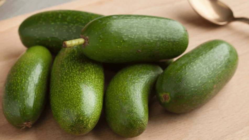 seedless-avocado