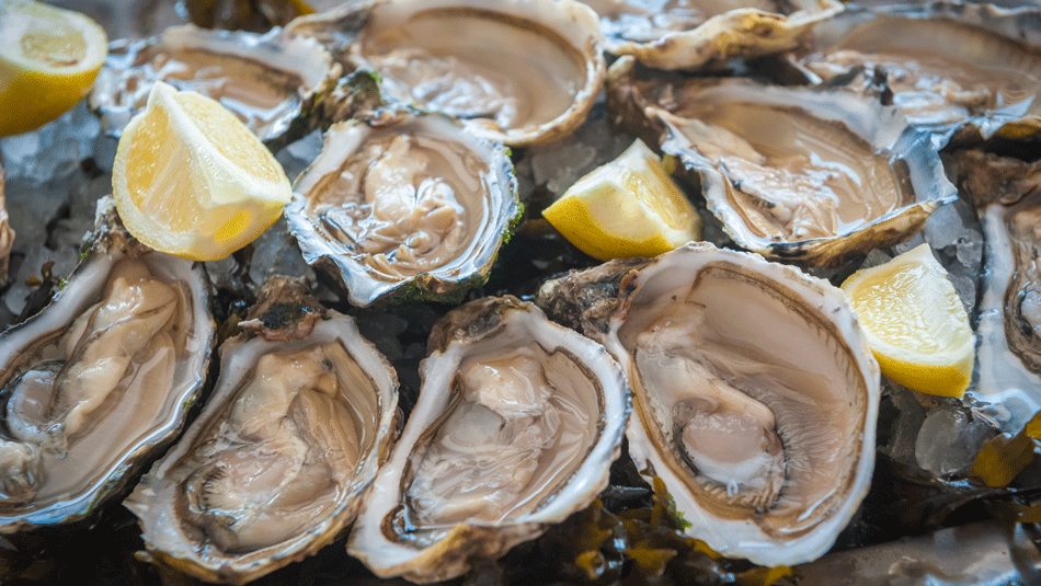 raw-oysters-vibrio