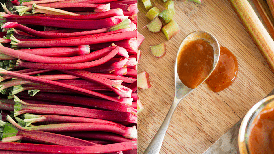 rhubarb-recipes