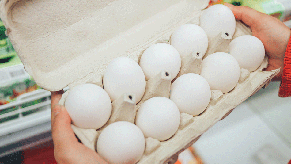 egg recall salmonella