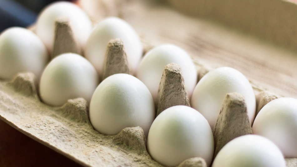 how to tell if eggs are fresh