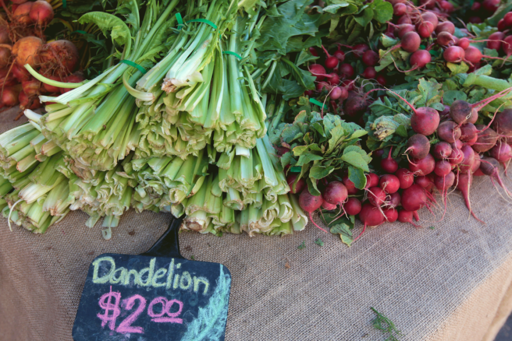 dandelion-greens-recipes