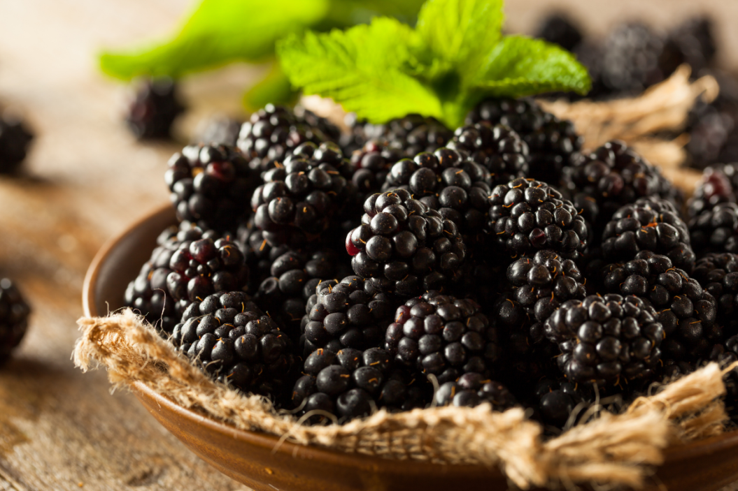 blackberries vs black raspberries
