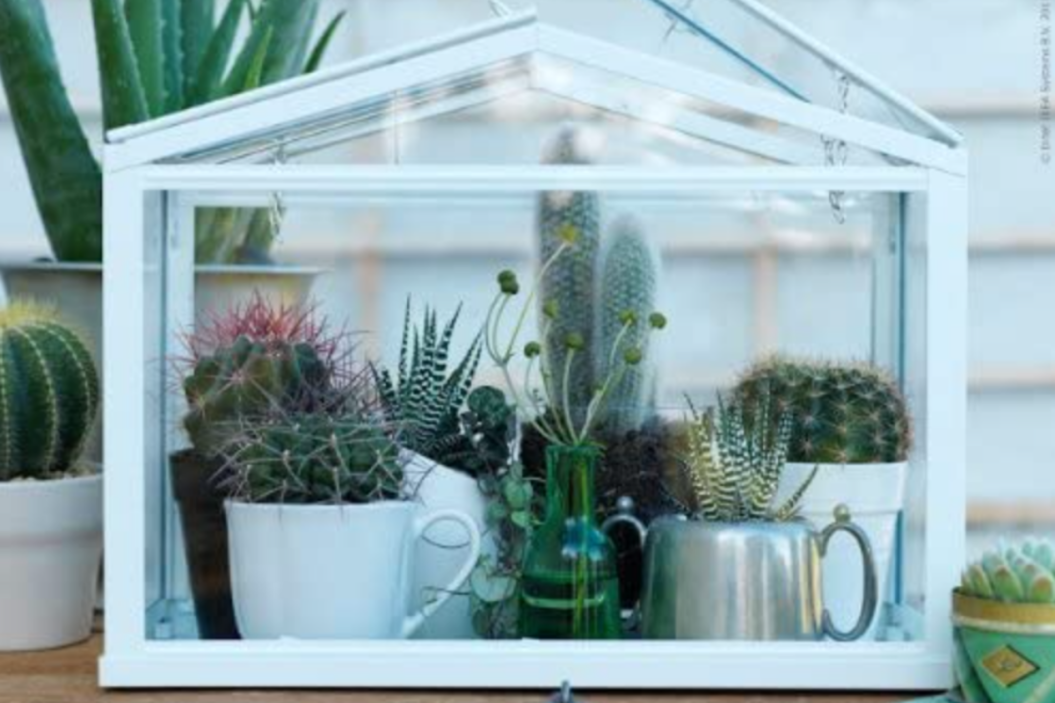 indoor greenhouse FI