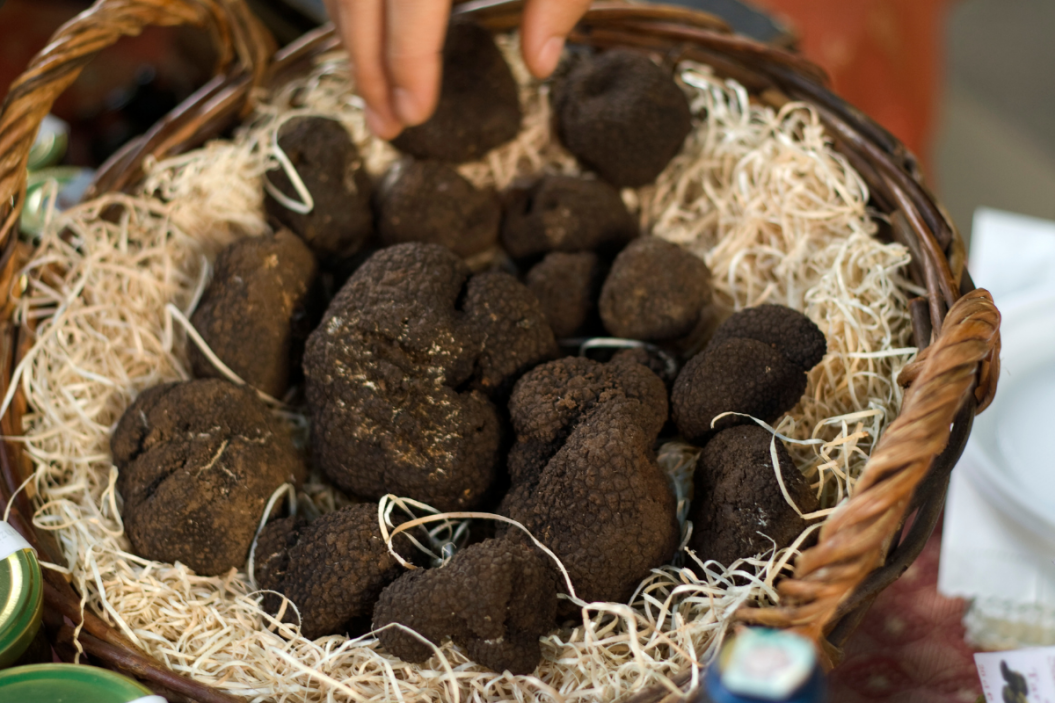 black truffles in a basket