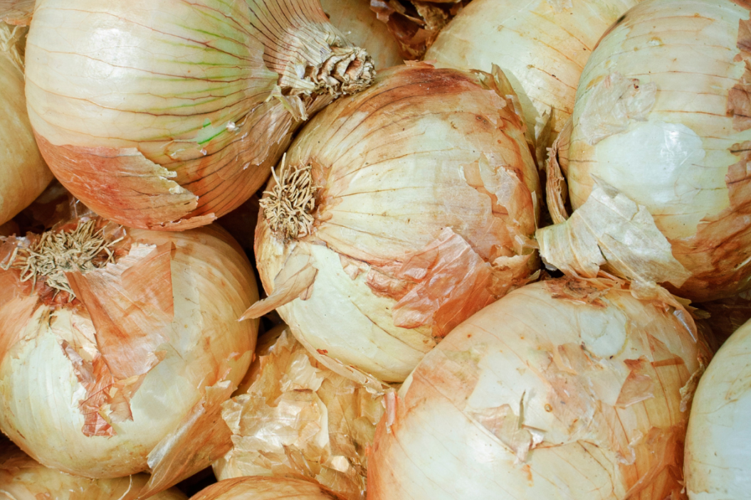 vidalia onion recipes