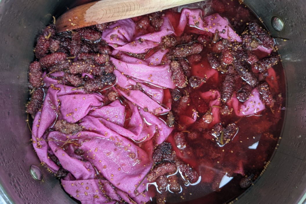 natural dyes in a bucket